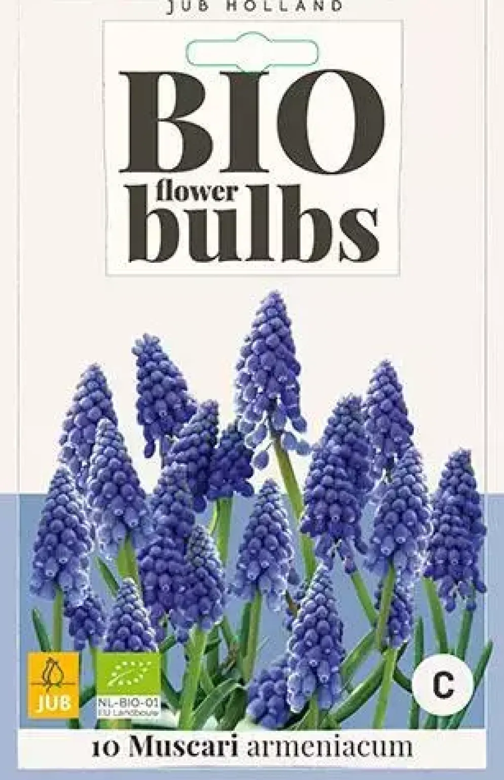 Muscari armeniacum 10 stuks biologisch geteeld