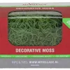 My Village decorative moss groen 50g