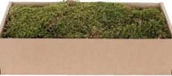 My Village mos droog groen/bruin 500g