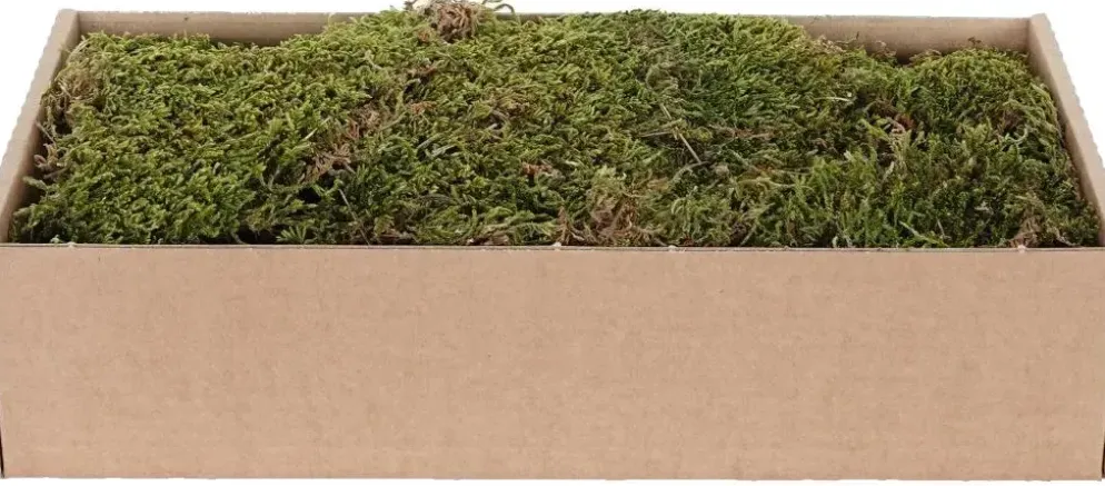 My Village mos droog groen/bruin 500g