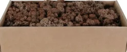My Village Rendiermos bruin 500g