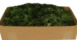 My Village Rendiermos donkergroen 500g