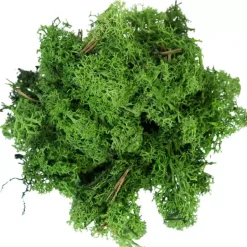 My Village Rendiermos donkergroen 500g