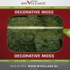 My Village Rendiermos donkergroen 50g