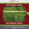 My Village Rendiermos groen 50g