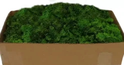 My Village Rendiermos groen 500g