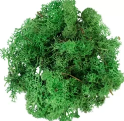 My Village Rendiermos groen 500g