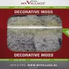 My Village Rendiermos naturel 50g