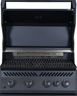 Napoleon Built-in 300 Serie 32