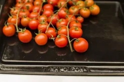 Napoleon Plancha gietijzer met randen