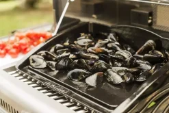 Napoleon Plancha gietijzer met randen
