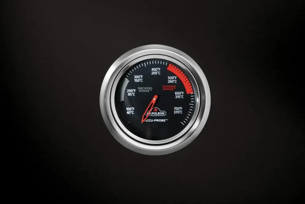 Napoleon Prestige 500 zwart