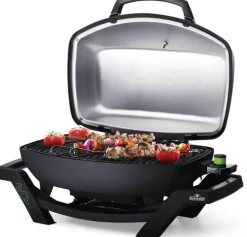Napoleon Travelq pro electric + 3acc
