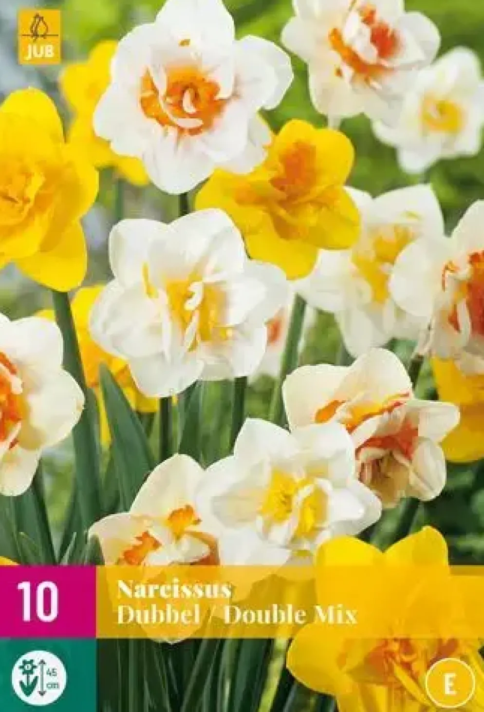 Narcissus Dubbel mix 10 narcisbollen