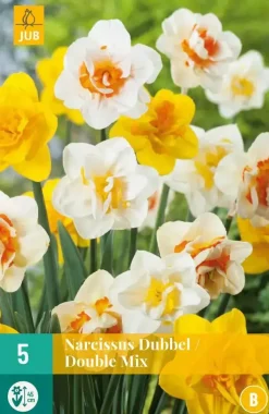 Narcissus Dubbel Mix 5 narcisbollen