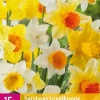 Narcissus Grootkronig mix 15 narcisbollen