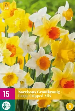 Narcissus Grootkronig mix 15 narcisbollen