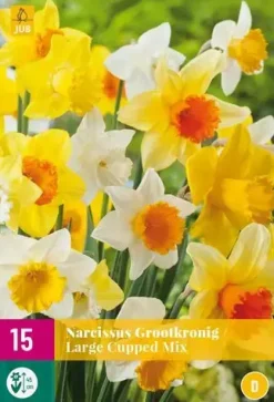 Narcissus Grootkronig mix 15 narcisbollen