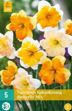 Narcissus Spleetkronig mix 5 narcisbollen