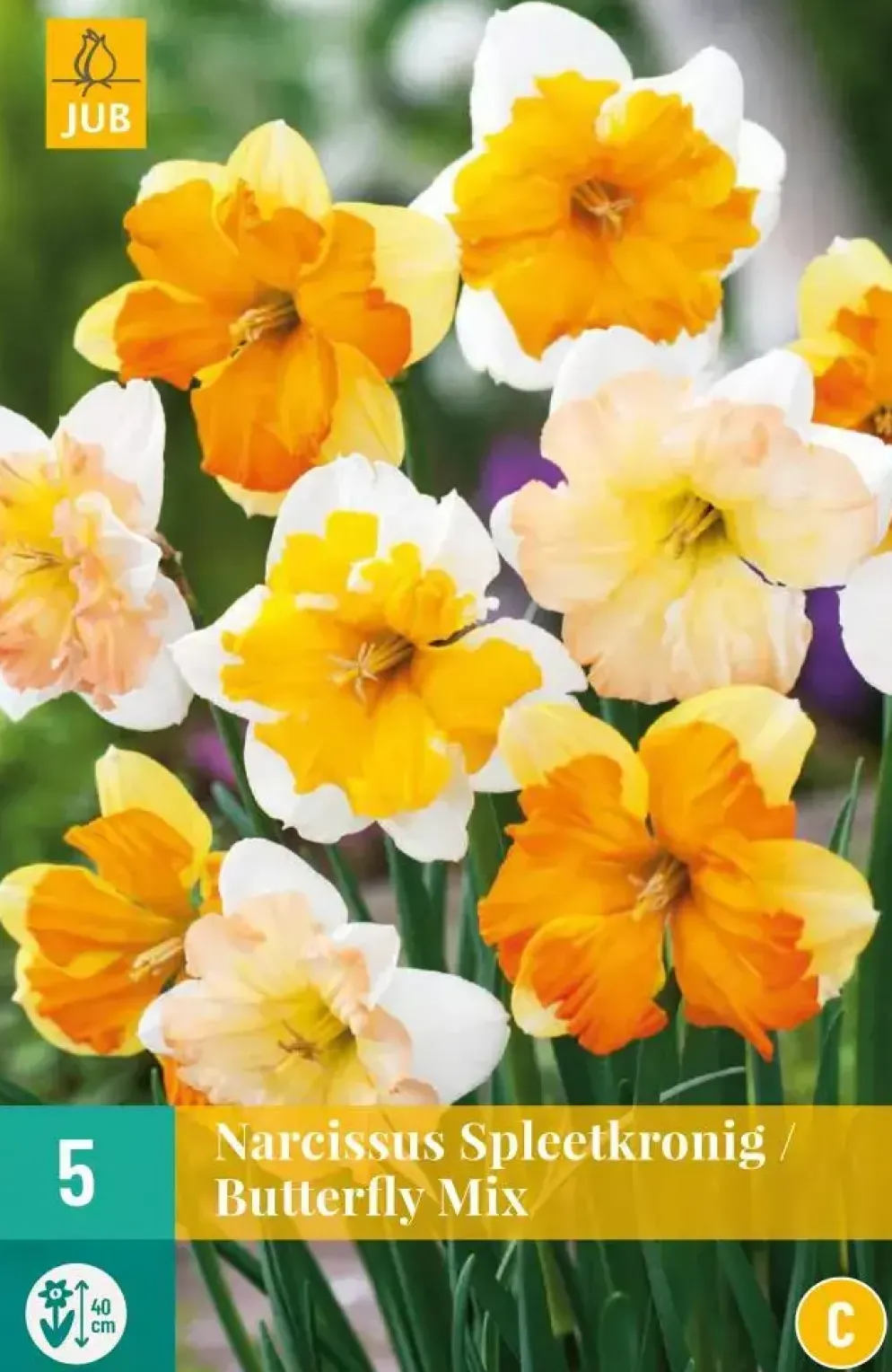 Narcissus Spleetkronig mix 5 narcisbollen
