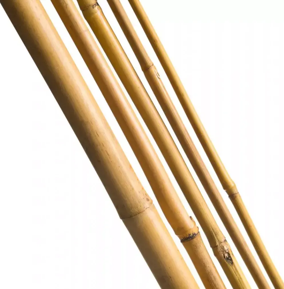 Nature Bamboestok 240 cm d18-20mm 3 stuks