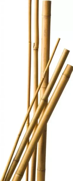 Nature Bamboestok 120 cm d 10-12mm 5 stuks