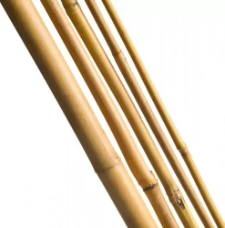 Nature Bamboestok 210 cm d16-18mm 3 stuks