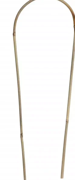 Nature Bamboestok gebogen 180 cm naturel