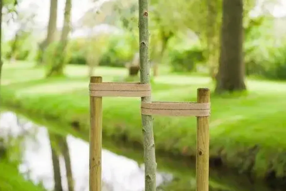 Nature Boomband Jute 6x200cm Naturel