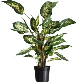 Nature Container afwatering 10l zwart