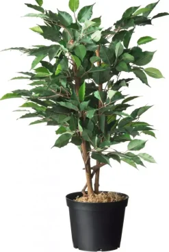 Nature Container afwatering+inkeping 2l zwart