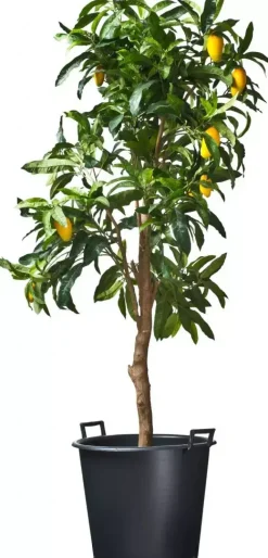 Nature Container ritzi afwatering+handgreep 30l