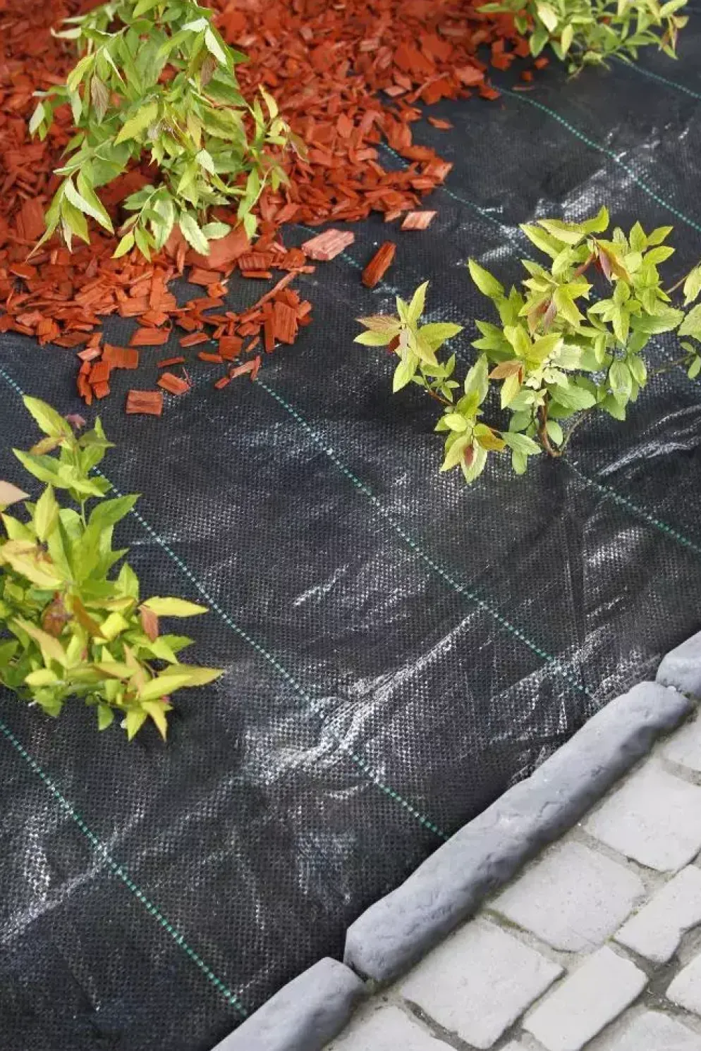 Nature Gronddoek 5,20x5 meter 100 g/m zwart