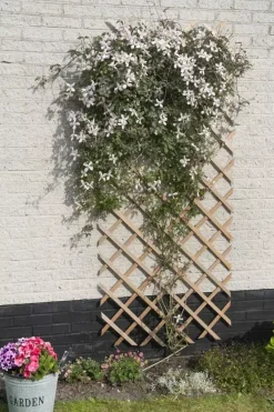 Nature Houten klimrek naturel 100x200 cm fsc