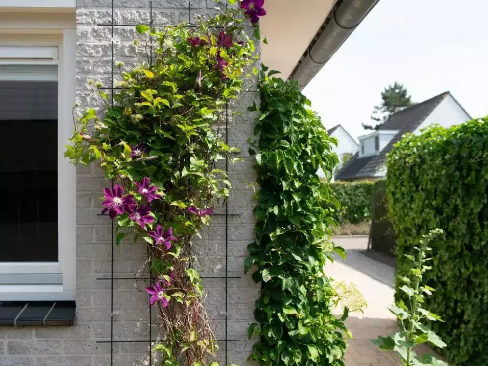 Nature Klimrek metaal 60x150 cm groen