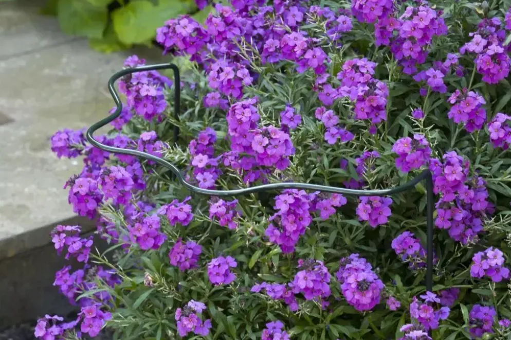 Nature Plantensteun d6mm h80x45x24cm groen