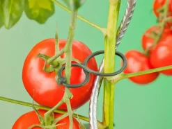 Nature Tomatenplantring d65mm
