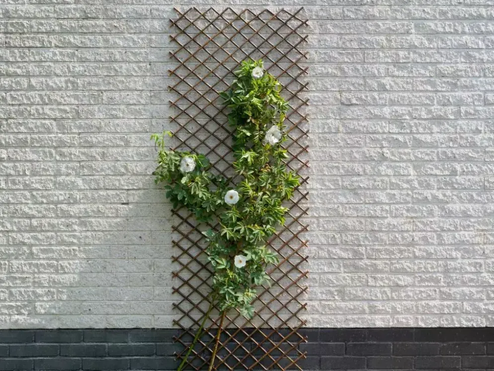 Nature Wilgenklimrek 30x180 cm