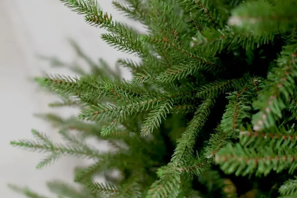 Our Nordic Christmas Arkansas kunstkerstboom houten voet groen 213cm