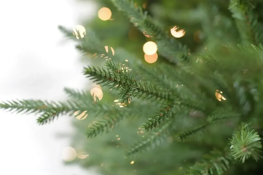 Our Nordic Christmas Arkansas grote kunstkerstboom houten voet groen 274cm
