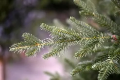 Our Nordic Christmas Arkansas Deluxe kunstkerstboom houten voet groen 183cm