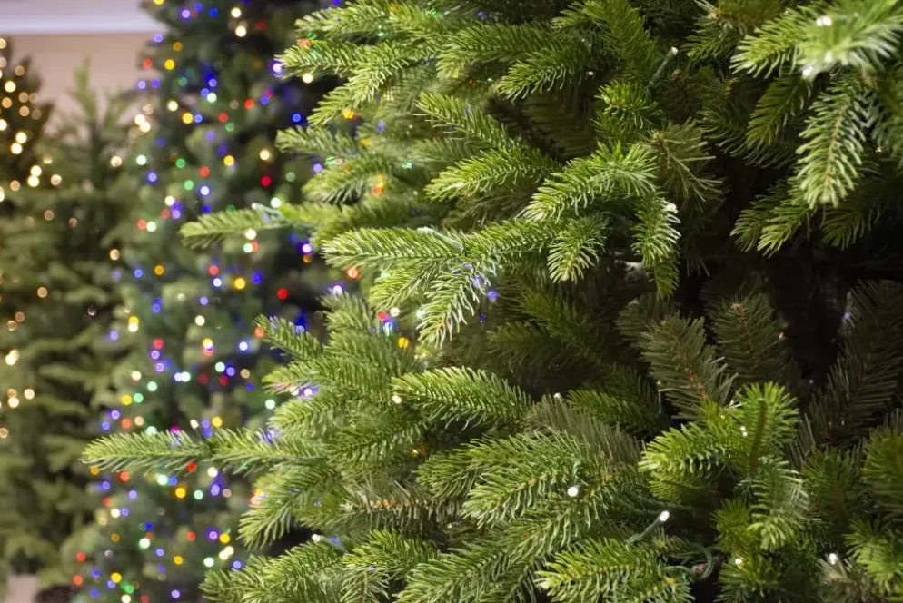 Our Nordic Christmas Helsinki kunstkerstboom met houten voet 228 cm