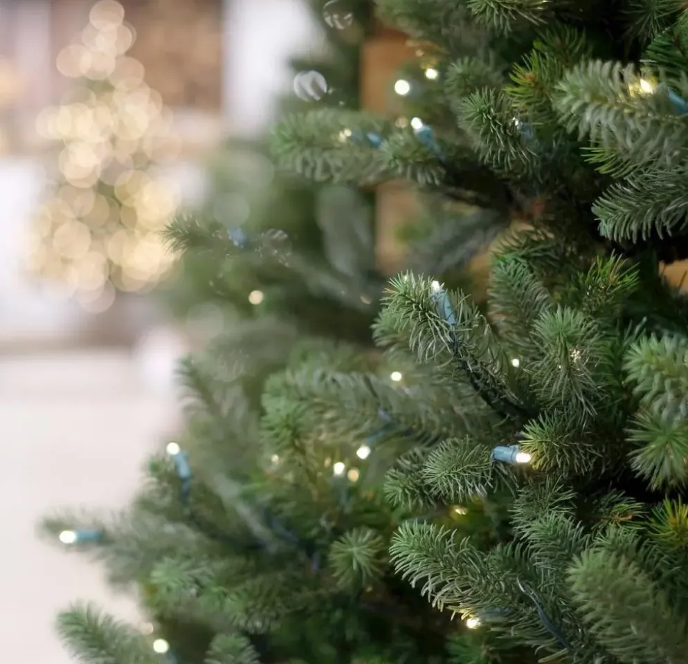 Our Nordic Christmas Kentucky Deluxe kunstkerstboom groen 213cm, 650 lampjes