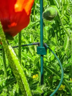 Peacock glasfiber grondpin 100 cm - ø 8 mm