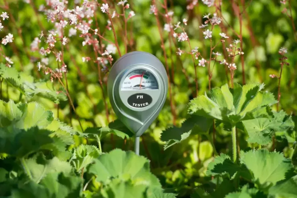 Ph-meter grijs