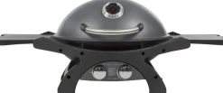 Pit Boss Grills Sportsman 2 grey