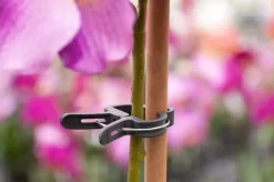 Plantenclip d35mm 5st