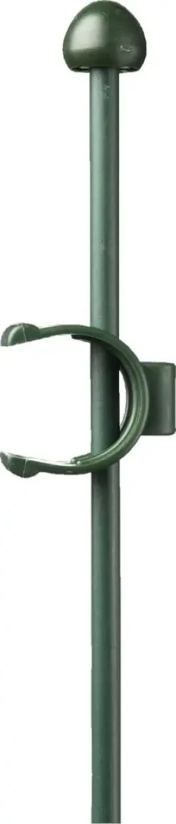 Plantstok verzinkt l150cm groen