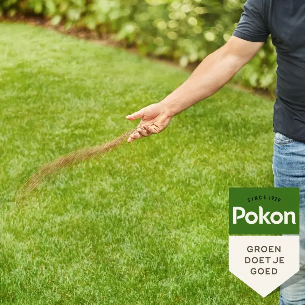 Pokon Bio Gazonmest 2kg voor 30m²
