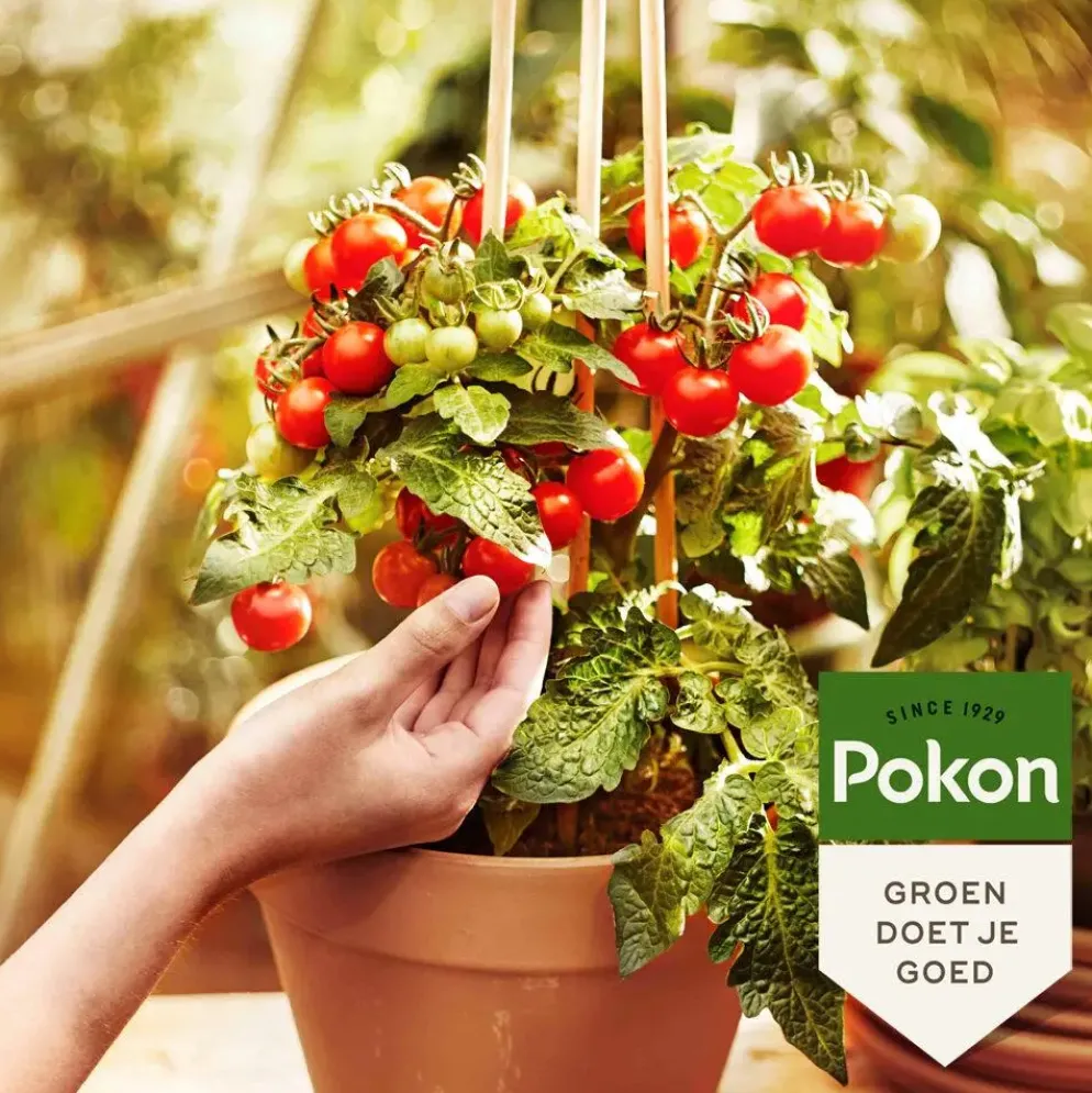 Pokon Bio Moestuingrond 40L
